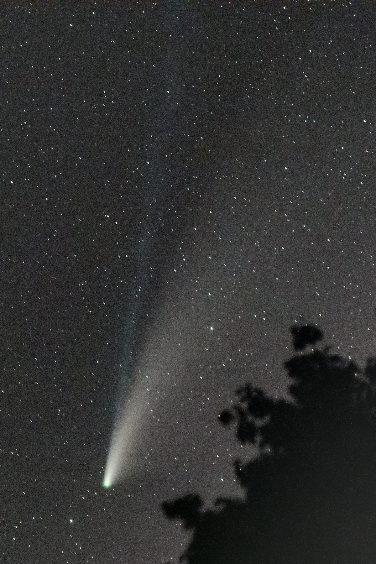 Comet NEOWISE